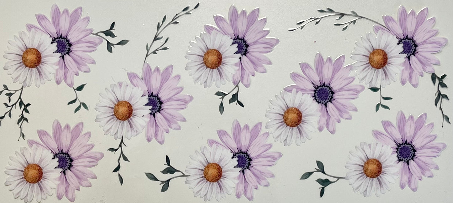 Purple & White Daisies
