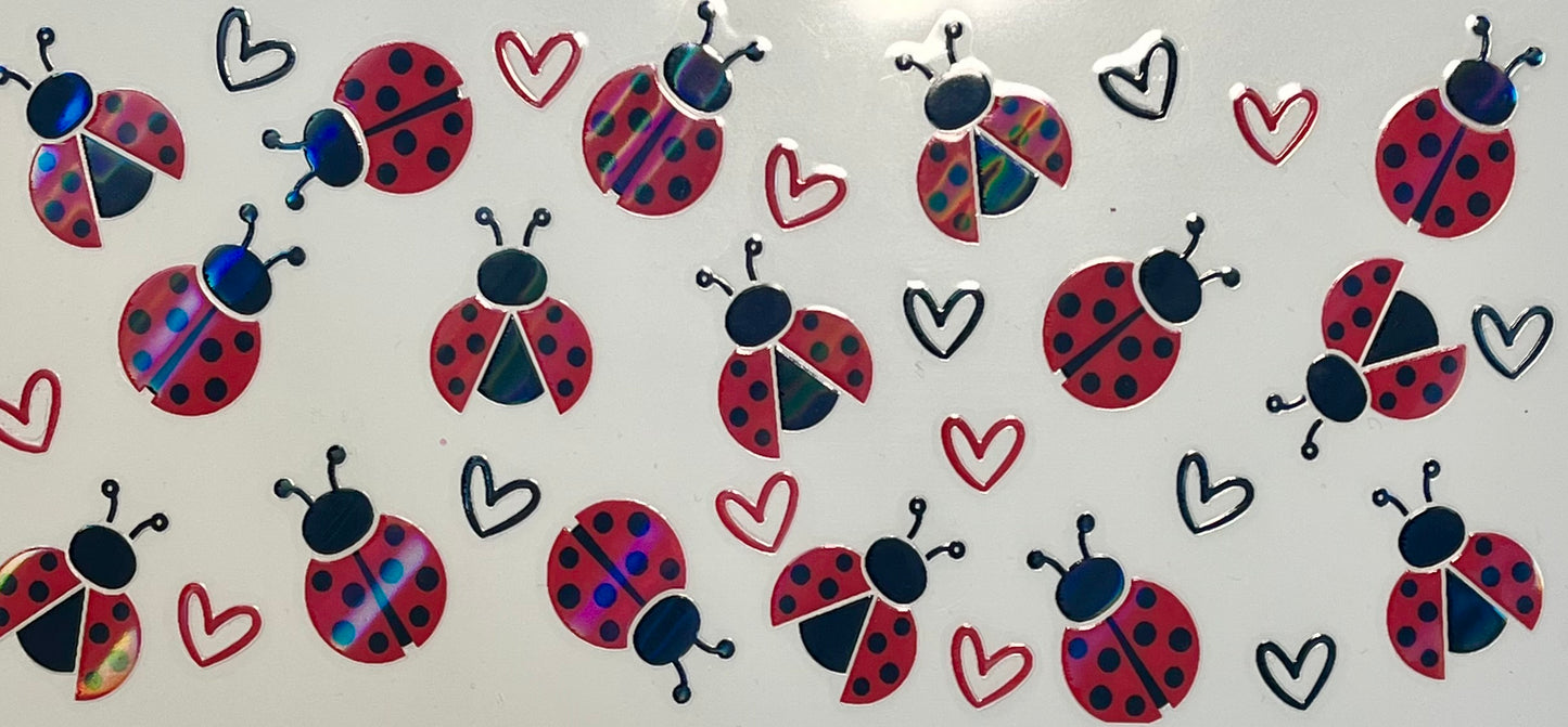 Ladybug
